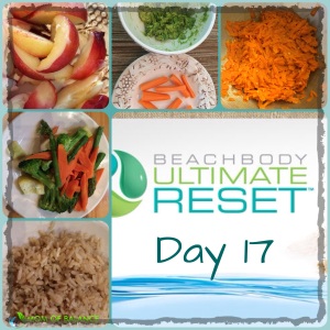 Ultimate_Reset_Day_17